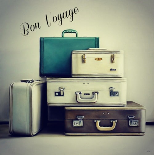 travel luggage2