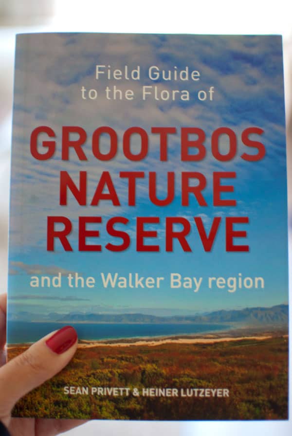 Grootbos-Flora-Guide