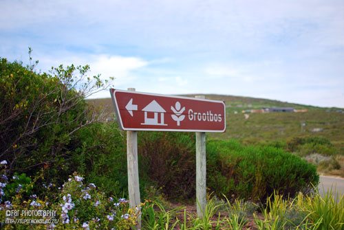 Grootbos5