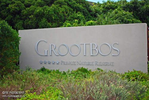 Grootbos6