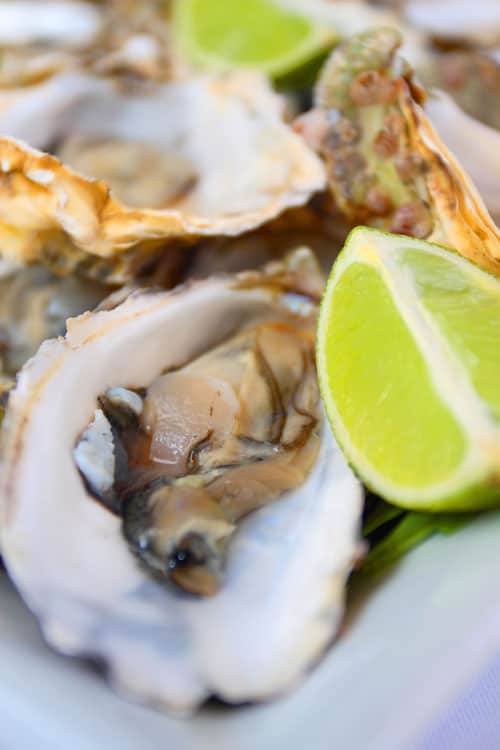 PNP-Knysna-Oyster-Festival2