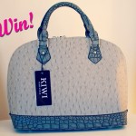 Win a Stylish Lushberry Handbag