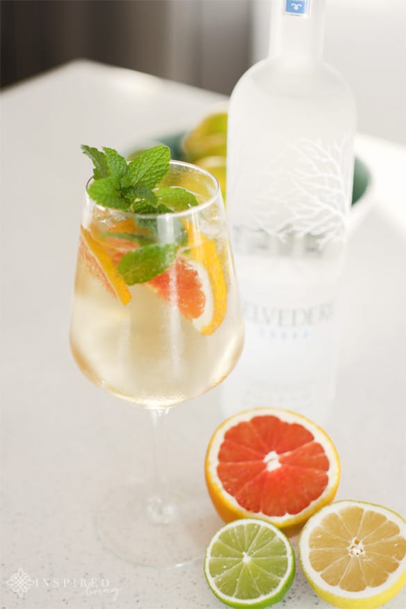 Belvedere Vodka Citrus Spritz