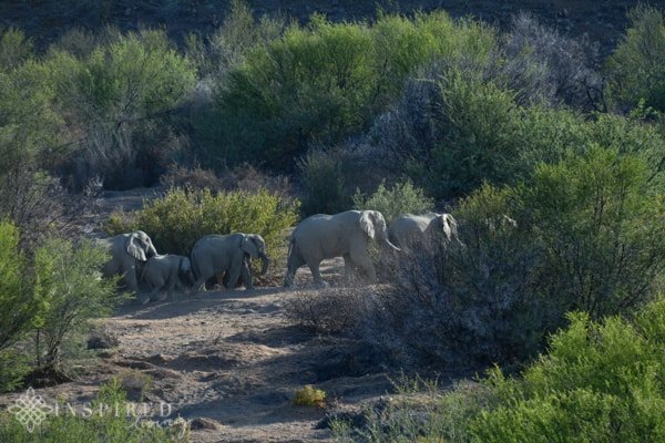 Sanbona Wildlife Reserve