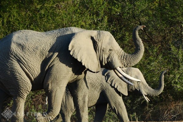 Sanbona Wildlife Reserve