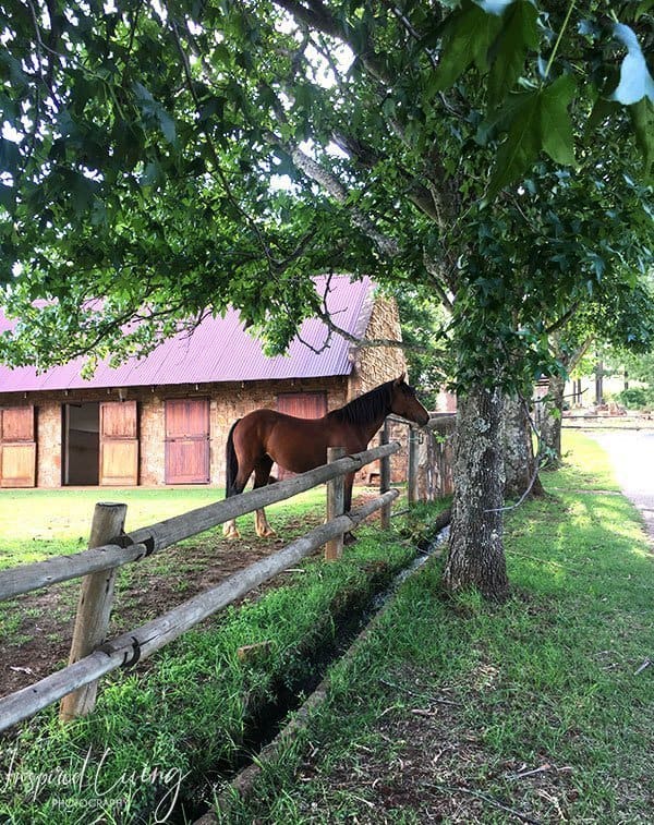 Dullstroom Riding Centre