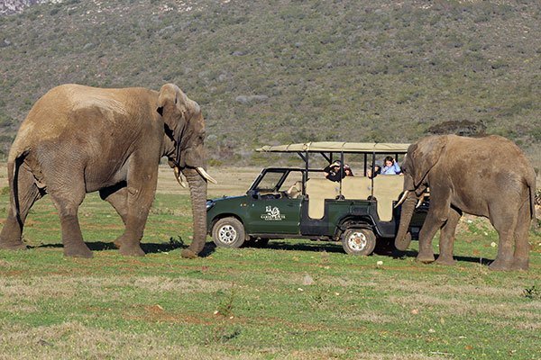 Game Drive